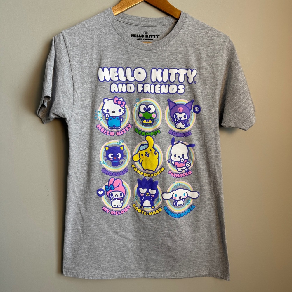 Hello Kitty and Friends Sanrio Character Graphic T-Shirt Gray Medium Novelty Fun